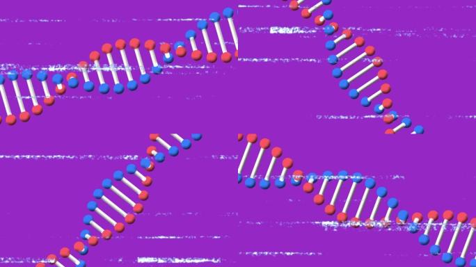 带有噪音的屏幕上的dna链图标动画
