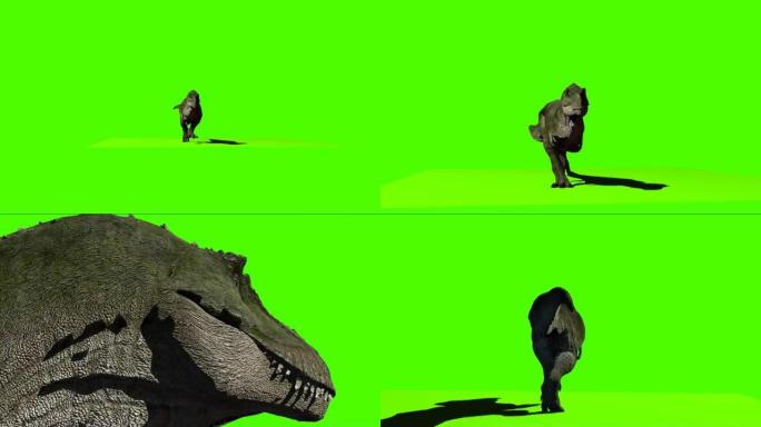 在绿色屏幕上运行的巨型恐龙