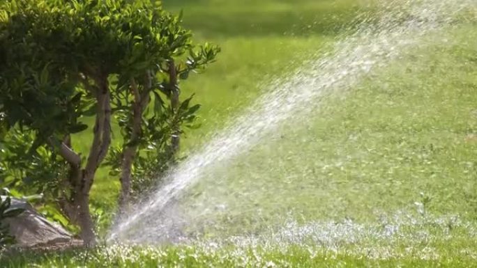 夏季花园用水灌溉草草坪的塑料喷头。浇灌干燥季节的绿色植被，以保持其新鲜。