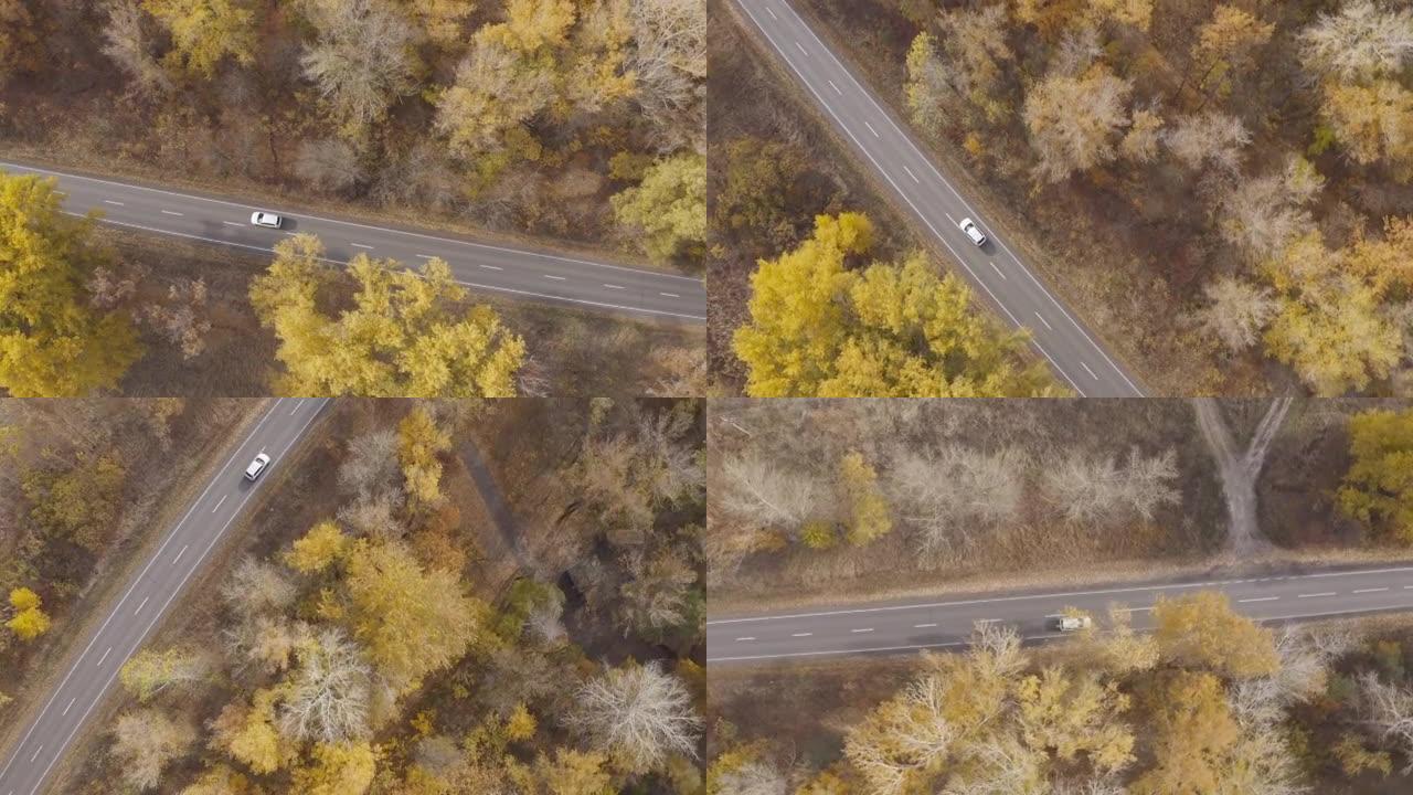 秋天开车旅行。黄色秋季森林乡村路线的汽车之旅。白色汽车在美丽的秋天穿过乡村道路。SUV在风景优美的景