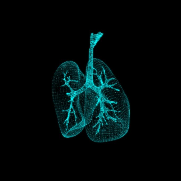 3D人体肺部旋转蓝色科技HUD元素