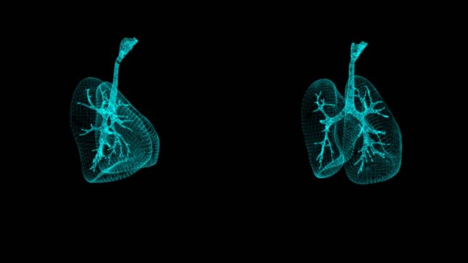 3D人体肺部旋转蓝色科技HUD元素