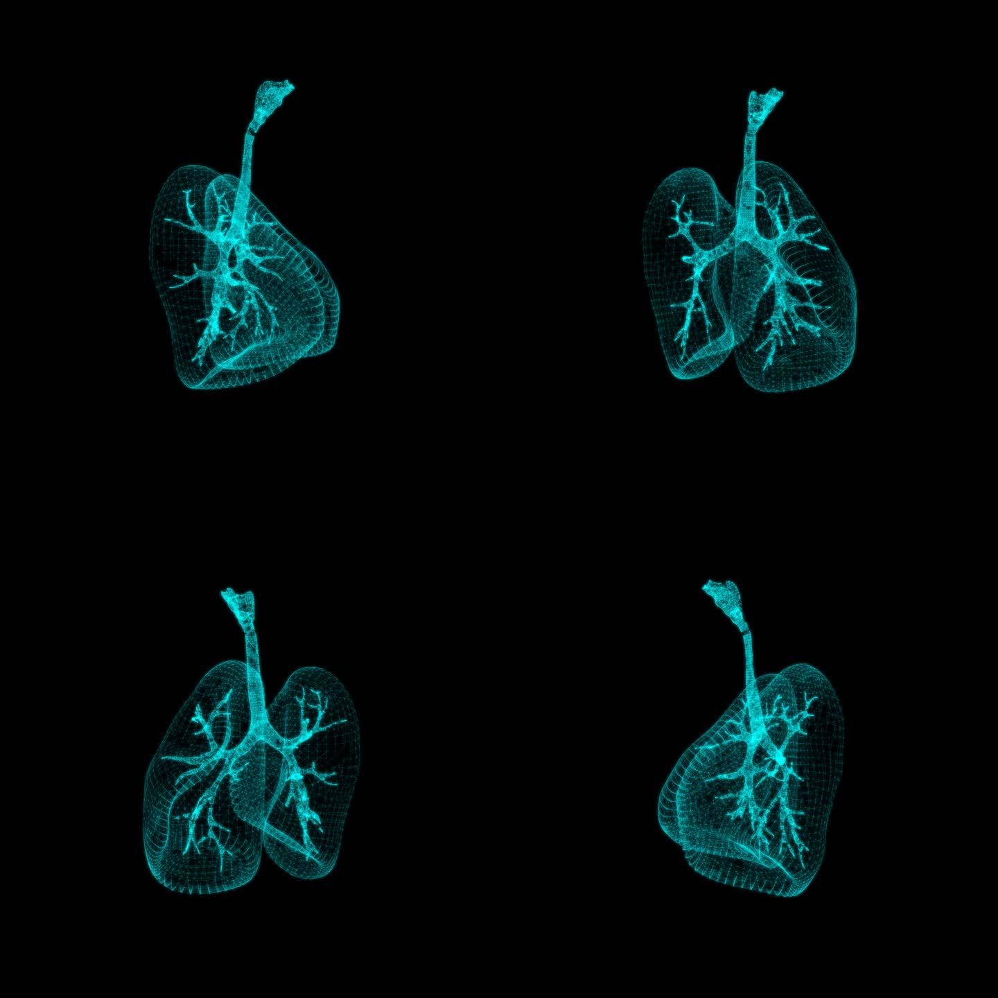 3D人体肺部旋转蓝色科技HUD元素