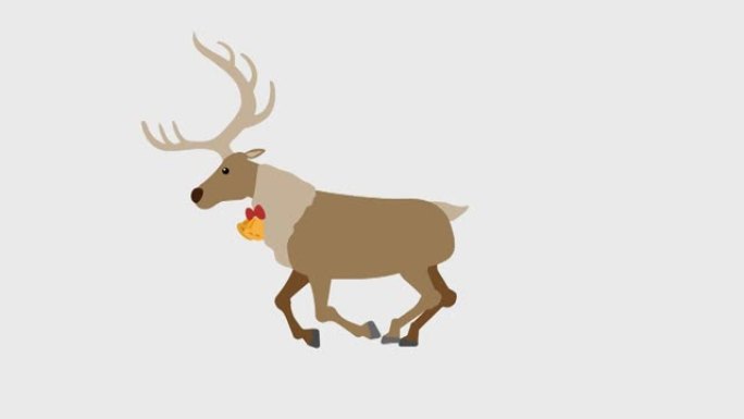 运行驯鹿插图循环动画(4K分辨率，背景透明)