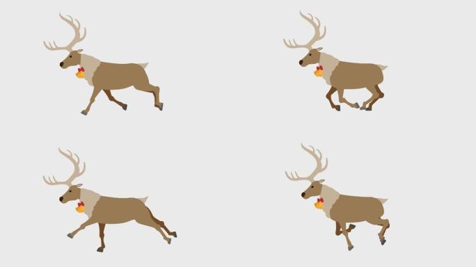 运行驯鹿插图循环动画(4K分辨率，背景透明)