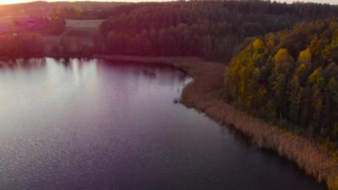 碧蓝的大湖的史诗般的俯视图。夕阳下清湖天空的倒影。池塘早晨日出。空中无人机视图秋天五颜六色的树木。鸟