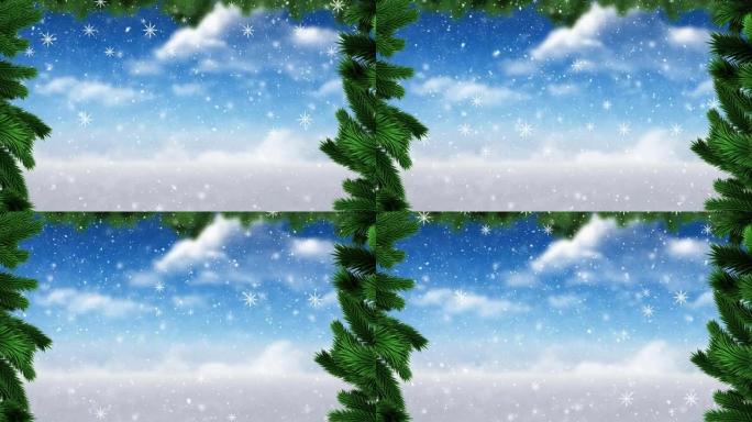 杉木树枝上飘落雪花的动画
