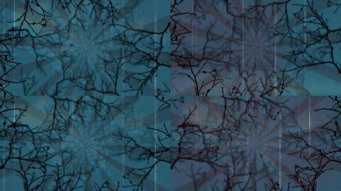 蓝色径向背景下令人毛骨悚然的树枝上的垃圾纹理覆盖