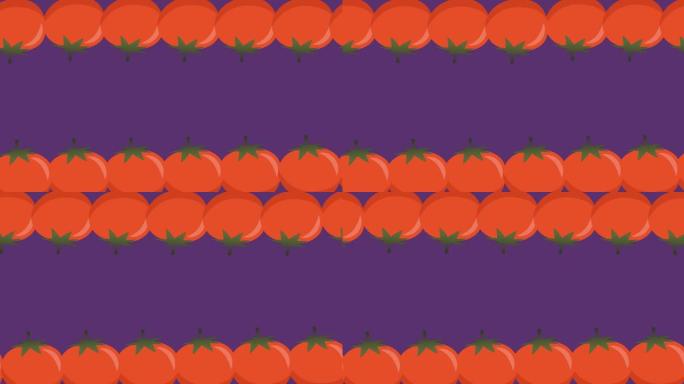两排红色西红柿在紫色背景的顶部和底部移动的动画
