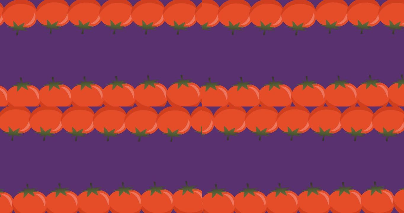 两排红色西红柿在紫色背景的顶部和底部移动的动画