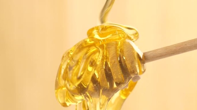 液体有机蜂蜜从上方在浅色背景上滴落在蜂蜜铲斗上。健康食品概念。金色蜂蜜从木勺中倒出和流出