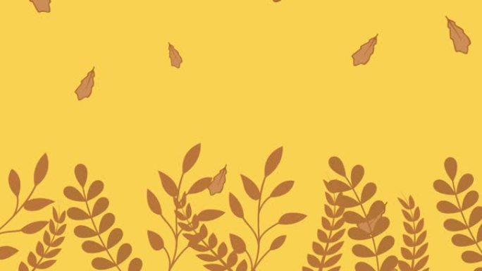 棕色秋叶落在黄色背景上的动画