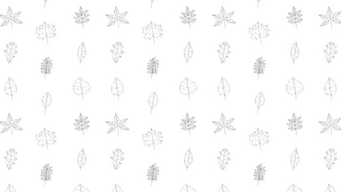随机树的黑色细线图标在白色背景上留下。几何网格中带有动画叶子的无缝循环运动图形模式