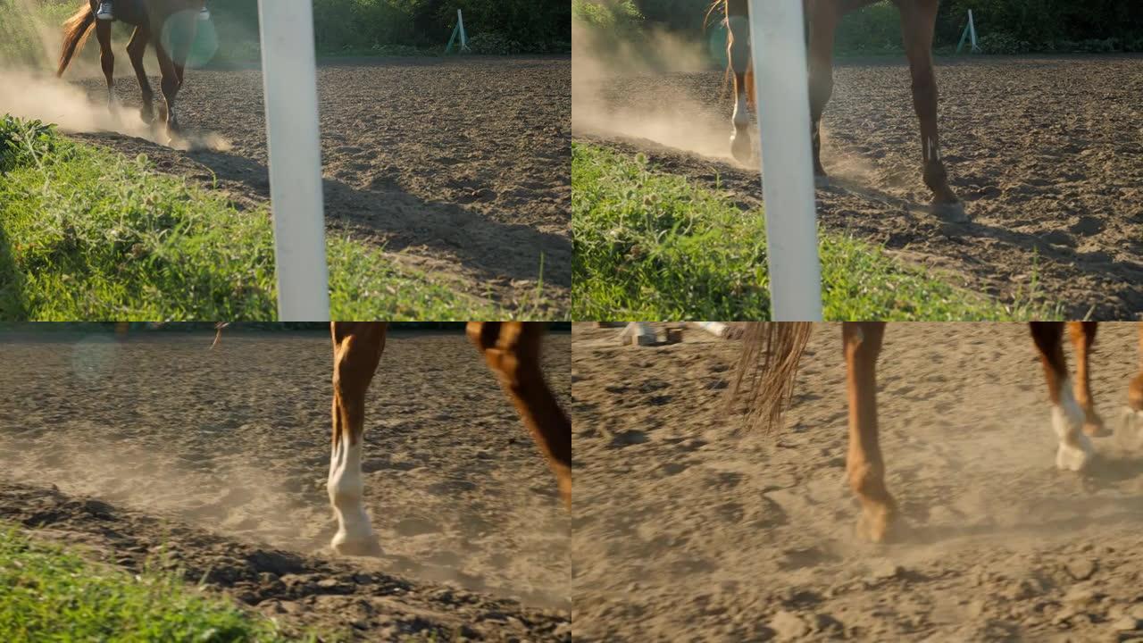 训练时骑马者在场上骑马的特写镜头。