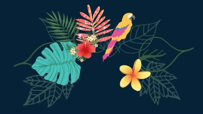 深蓝色背景上的热带树叶和鹦鹉的动画