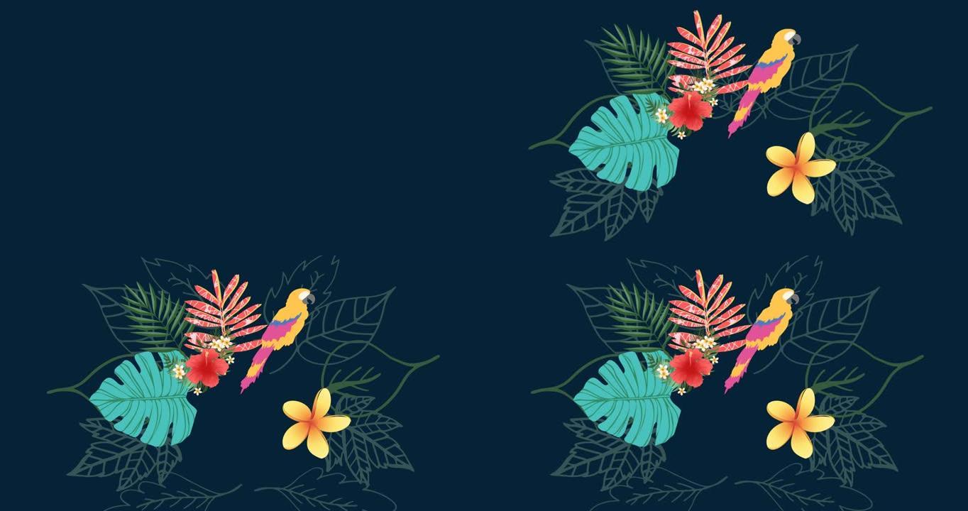 深蓝色背景上的热带树叶和鹦鹉的动画