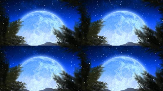 雪花落在枞树和月亮上的动画