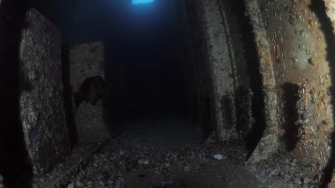 独特的水下水肺潜水员视图穿透沉没的沉船舱口，露出黑暗的房间。