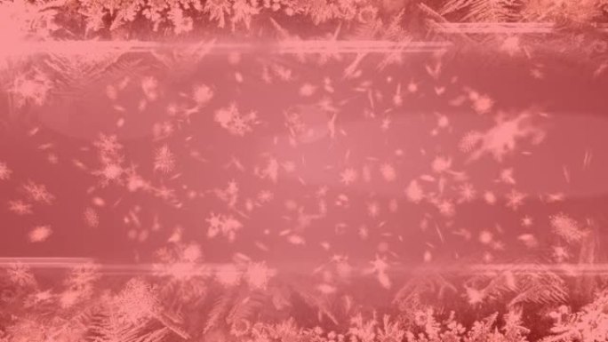 多个雪花图标漂浮和粉红色背景下的轻迹