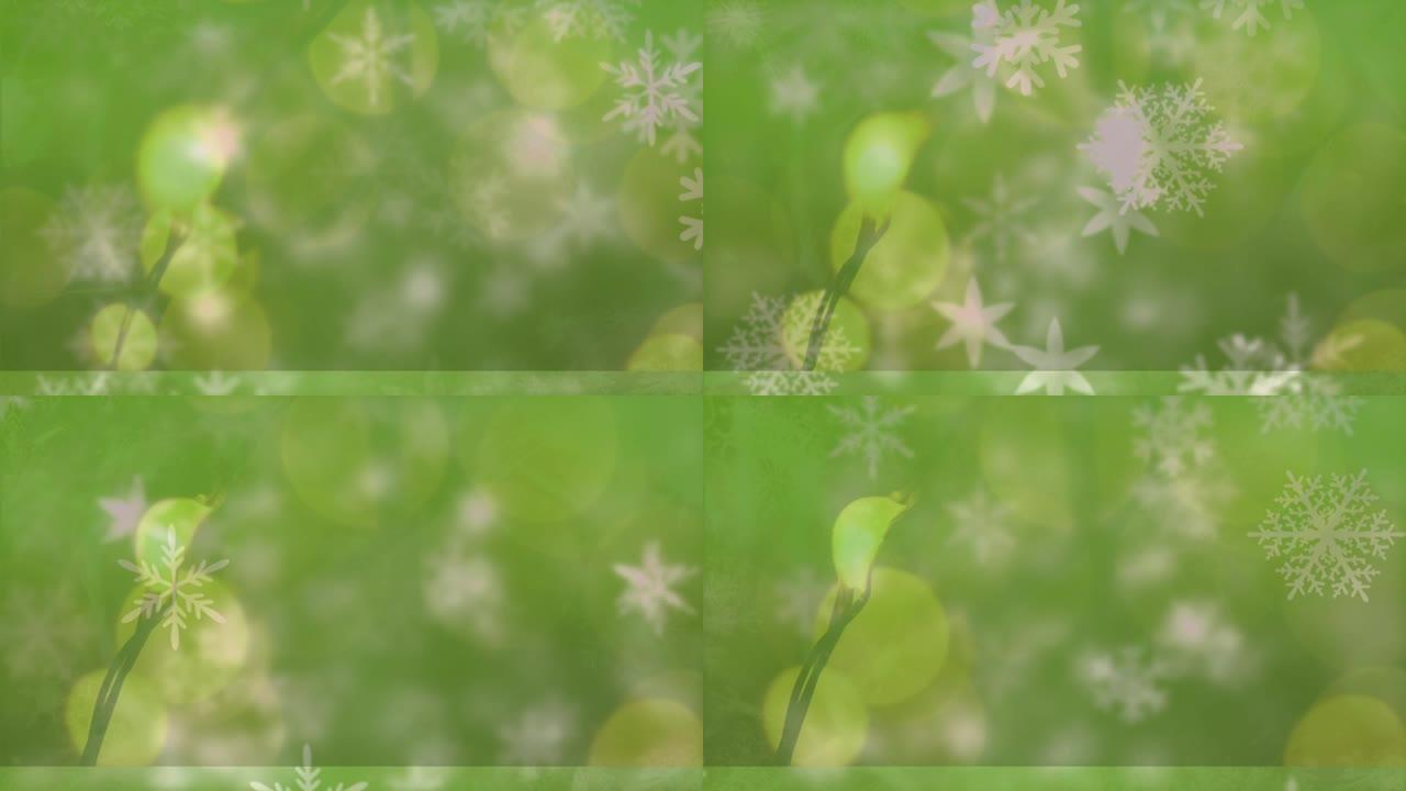 绿色背景上的雪落在模糊的灯光上的动画