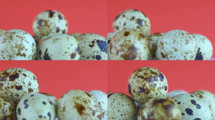 在明亮的橙色背景上旋转的彩色小鹌鹑蛋的特写镜头。煮熟的禽蛋，随时可以食用。鹌鹑农场。选择性聚焦，浅景