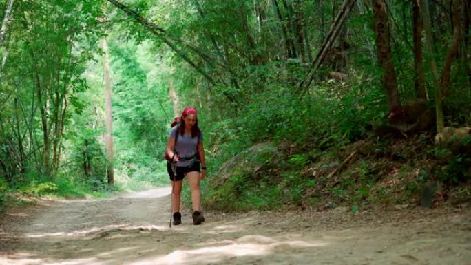 冒险女人集中精力散步，独自徒步旅行，夏天在热带森林里去山顶，一棵感觉挑战和兴奋的竹树，低角度平移