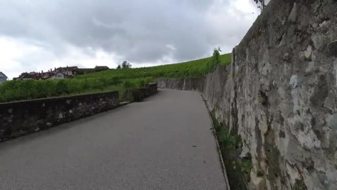 沿着葡萄园之间的乡村小路走，汽车经过。POV街景在美丽的瑞士乡村带鹅卵石墙的老路上坡行走