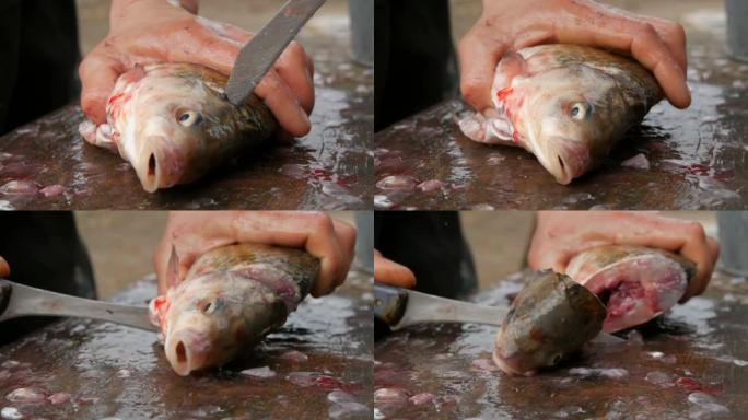 一名男子渔民砍下了刚刚被捕获的活泼大鱼的头。清洗鱼以便进一步烹饪。淡水鱼