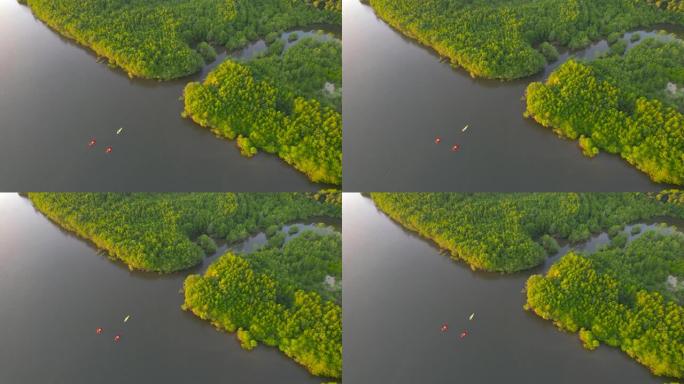日落场景空中俯视图游客或研究人员的船桨动作桨在淡水河湖皮划艇中发现和探索泰国攀牙省植物园热带地区的性
