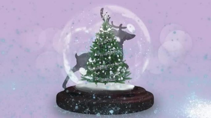 在雪球中与在紫色背景上奔跑的驯鹿在圣诞树周围流星