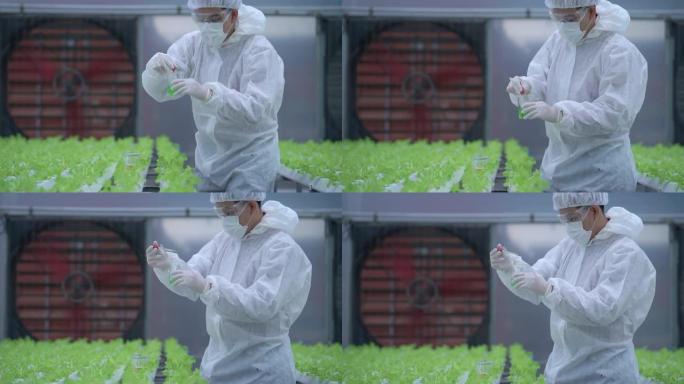 科学家在温室农场检查和测试用于喂养植物蔬菜的水化学物质。高科技有机农场。未来粮食的农业。通过水培生长