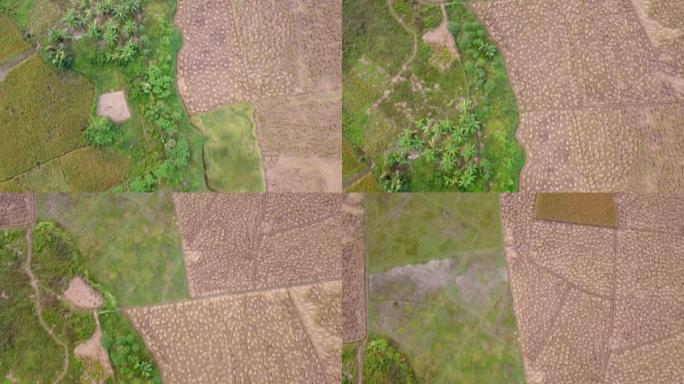 孟加拉国新西兰para khagnachari农业用地的鸟瞰图