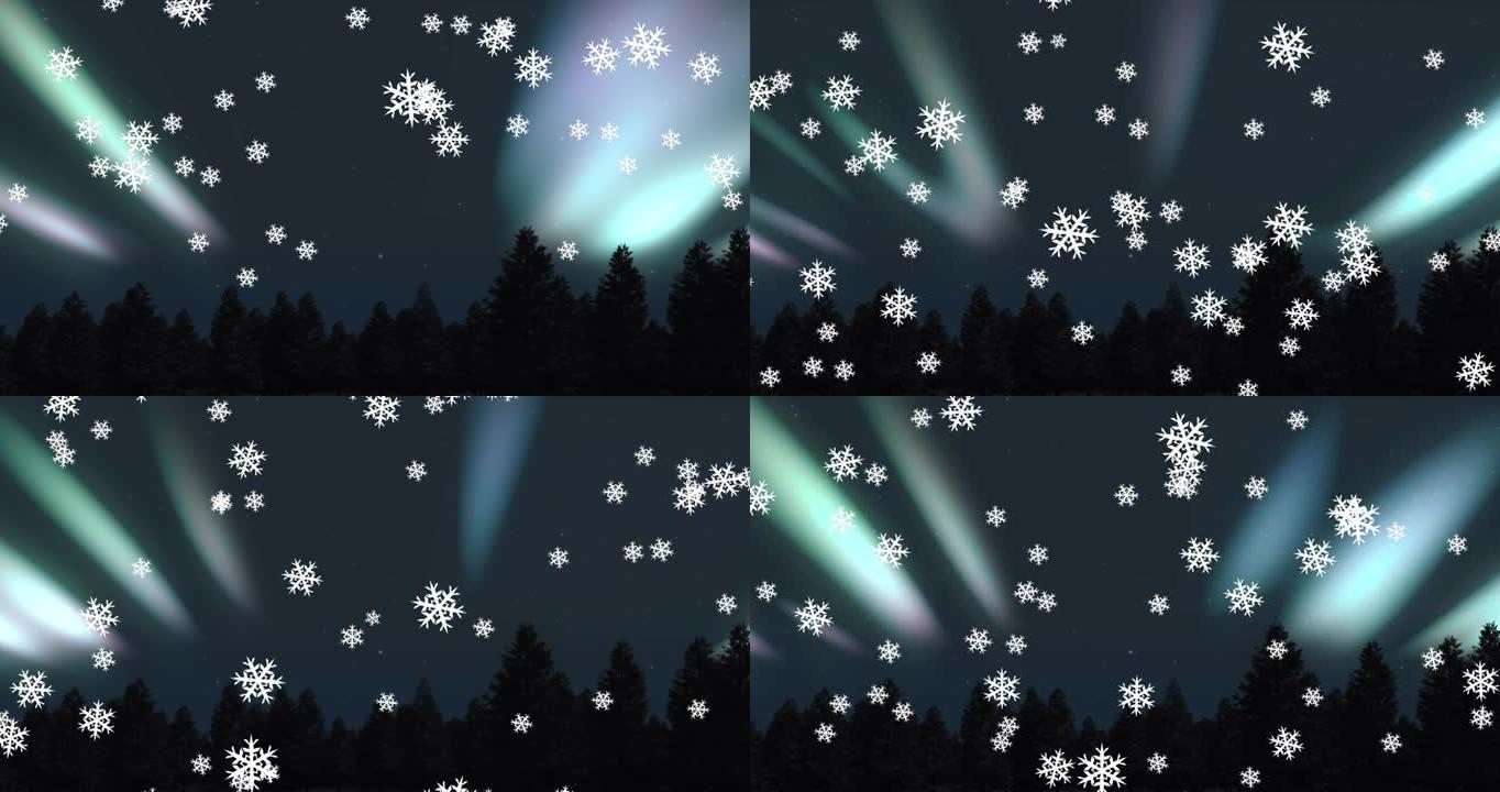 圣诞节在极光和枞树上飘落的雪花动画