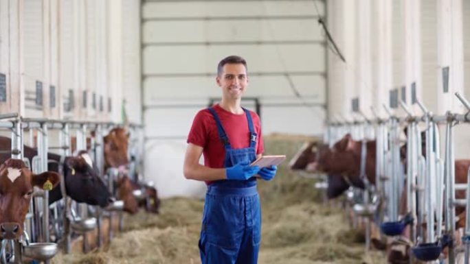 穿着制服的农民或农场工人，拿着数字平板电脑看着相机，微笑着站在牛棚里。奶牛在摊位吃干草。农业行业的企