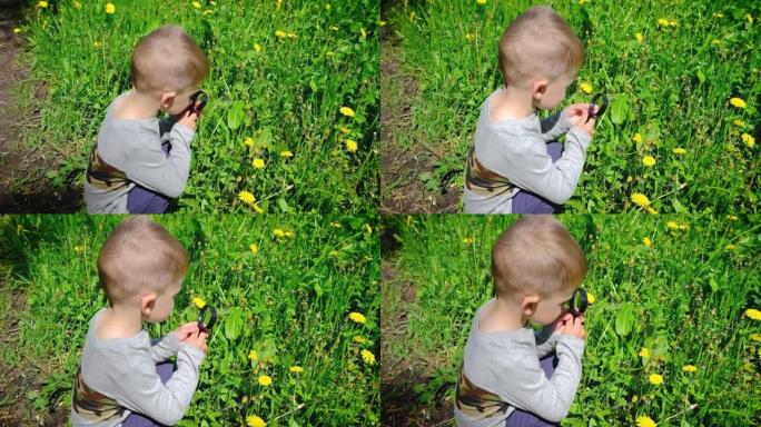 孩子透过放大镜看花。选择性聚焦。