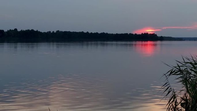 夕阳在一片黑暗的森林上的胭脂红点。湖面上水流的小涟漪。鱼浮出水面。自然景观的寂静。冥想抽象
