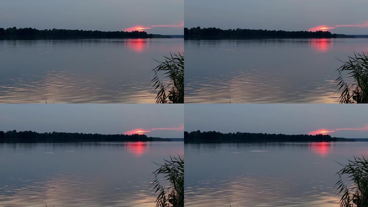 夕阳在一片黑暗的森林上的胭脂红点。湖面上水流的小涟漪。鱼浮出水面。自然景观的寂静。冥想抽象