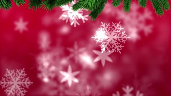 飘落的雪上的圣诞树树枝的动画