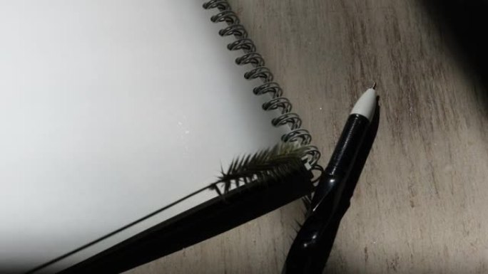 笔记本、钢笔和玻璃花瓶的硬阴影。工作场所，作家办公桌概念