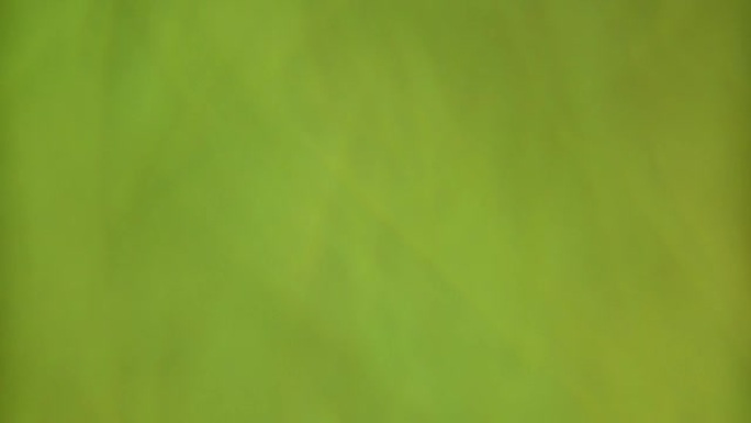 绿色纹理草抽象视频