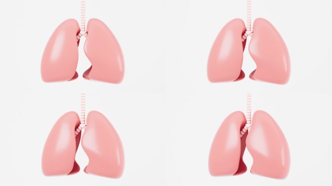 肺部呼吸膨胀收缩动画