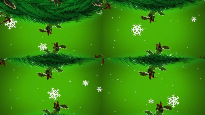 杉木树枝的动画，装饰在积雪上