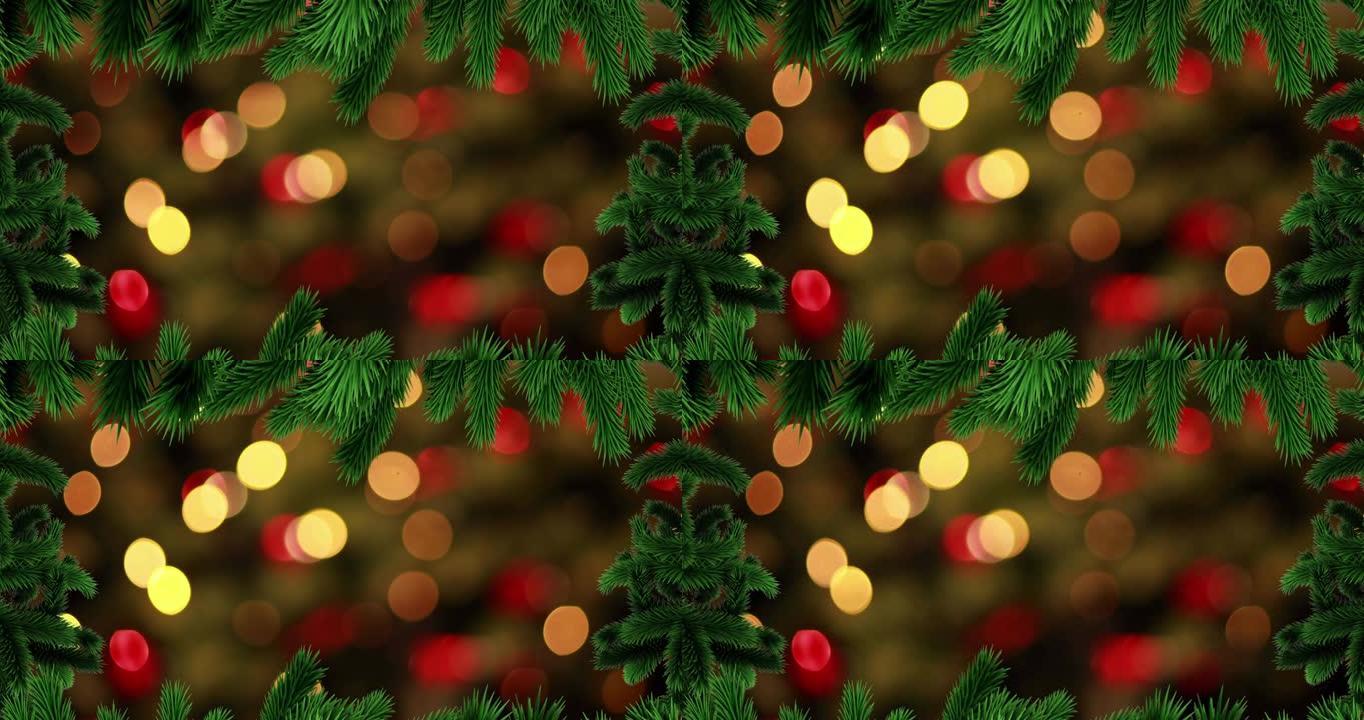 圣诞节上的杉木动画