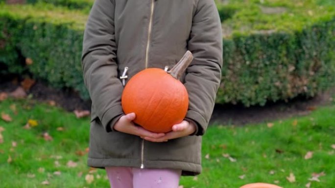 快乐的高加索女孩在公园玩耍，拿着秋天成熟的橙色南瓜葫芦