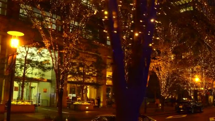 走在东京丸之内的圣诞节照明中。