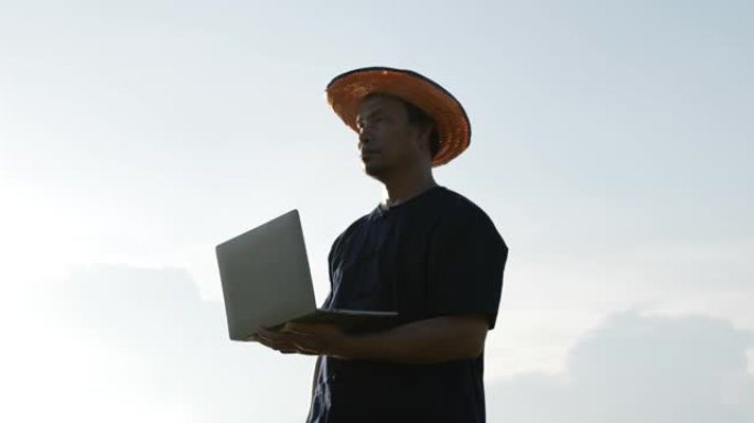 年轻的农民使用笔记本电脑进行田间水稻研究