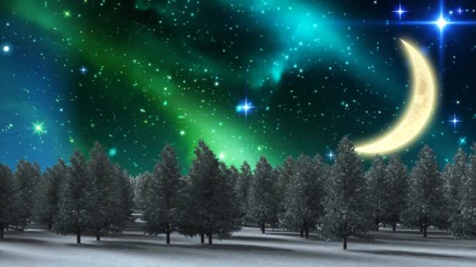 圣诞节时树木，月亮和天空的冬季景观动画
