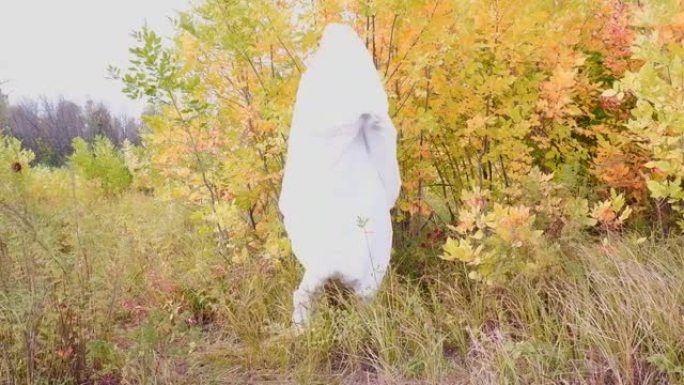 白鬼，一个在黄色森林里穿着白色床单玩得开心的人。穿着万圣节幽灵服装的男人