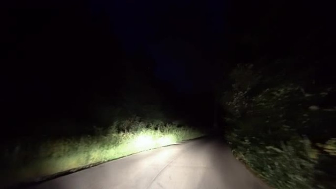 福雷斯特山区乡村公路上的夜间行驶