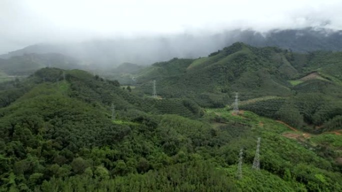 泰国攀牙府雨景中雾送电塔的空中无人机电影